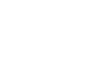 Evolution games at Rush Pro Casino